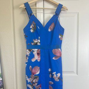 Ted Baker Dress